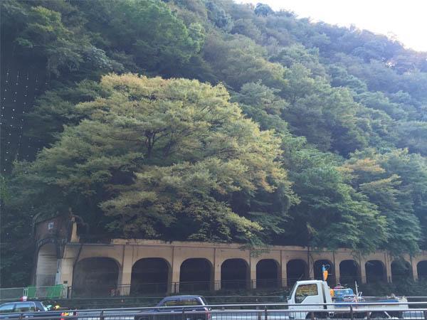 Masutomi Ryokan 3*