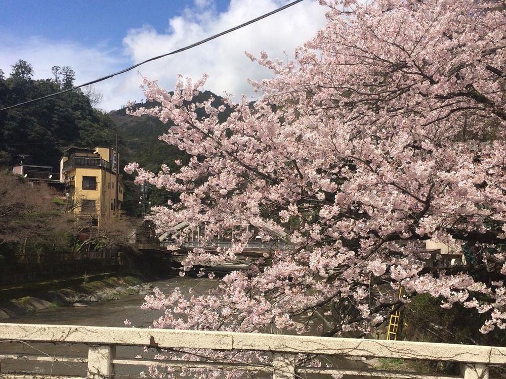 Masutomi 3*