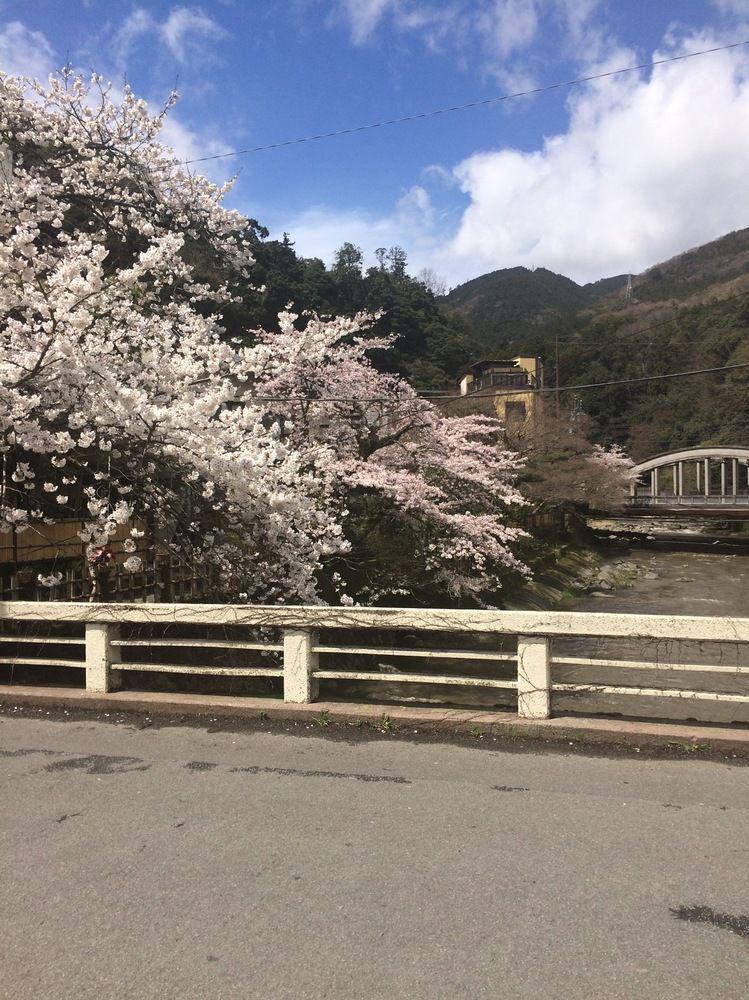 Masutomi