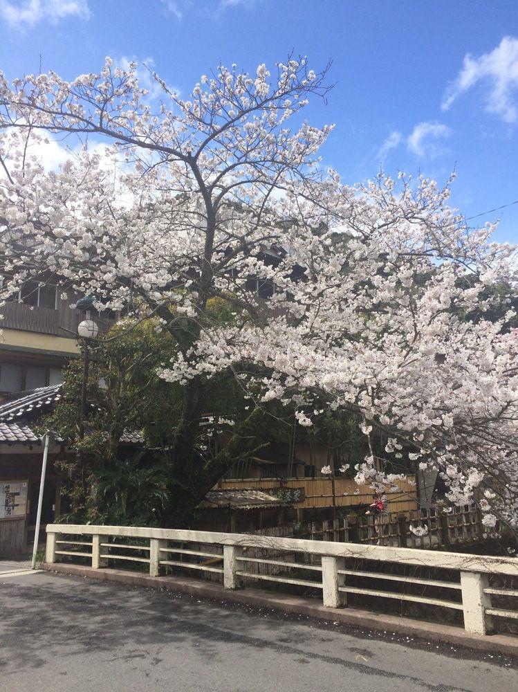 Masutomi 傳統日式旅館 3*